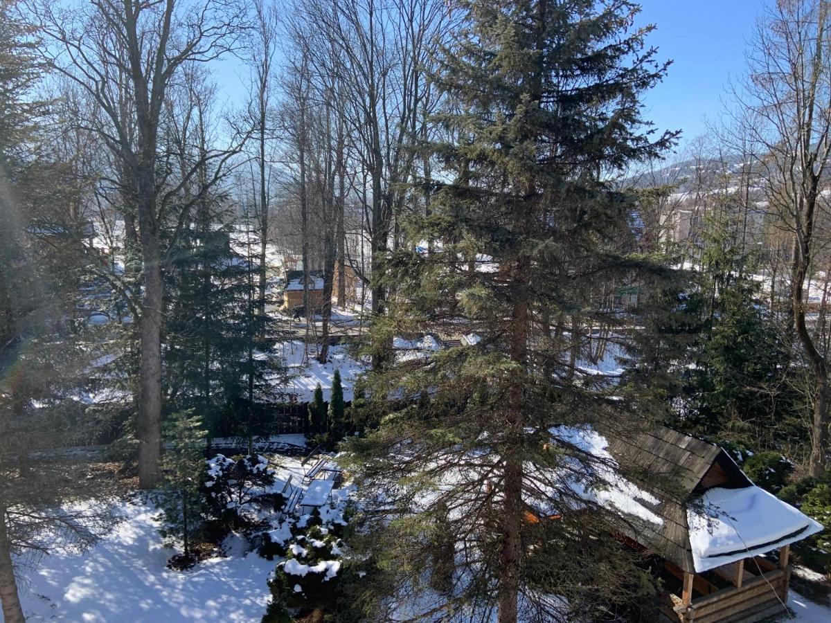 Ow Jaskolka Hotell Zakopane Eksteriør bilde